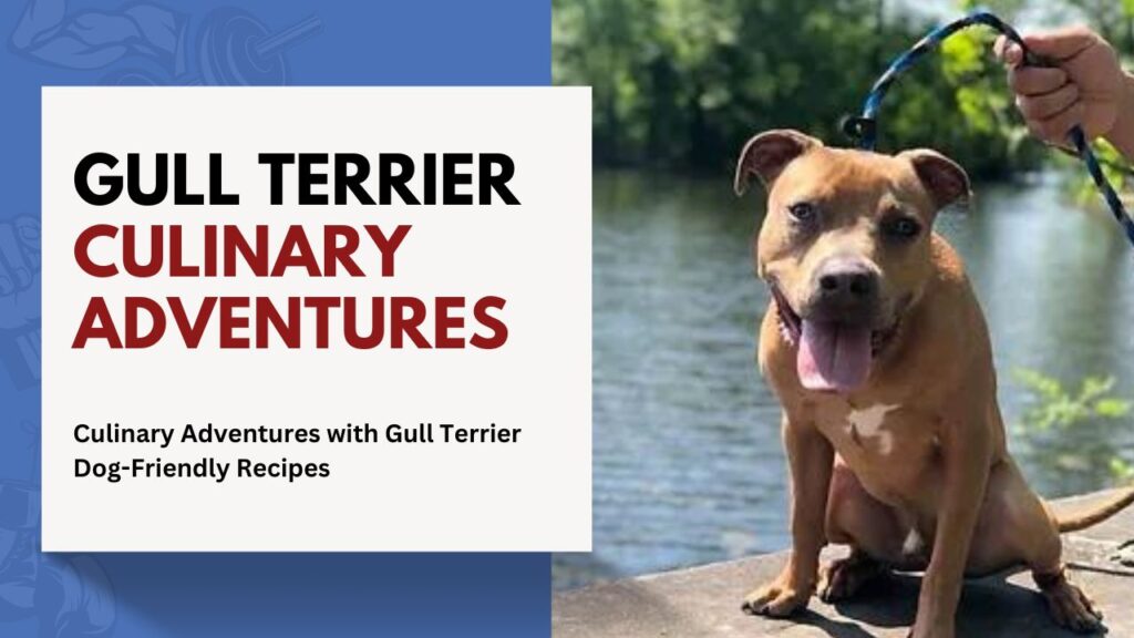 gull Terrier Culinary Adventures