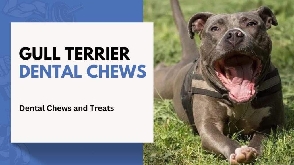 gull Terrier Dental Chews