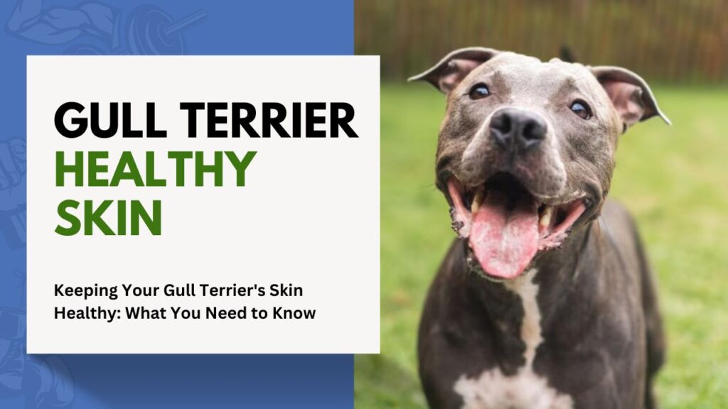 gull Terrier Healthy Skin