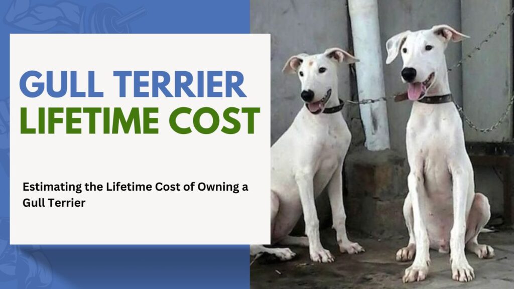 gull Terrier Lifetime Cost